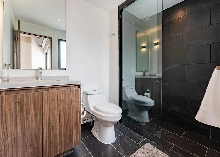 Apartment Vh Stylish In Condesa Salt70